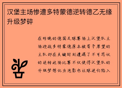 汉堡主场惨遭多特蒙德逆转德乙无缘升级梦碎